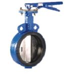Wafer and Lugged Butterfly Valve